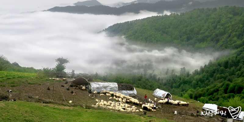 آبنیک