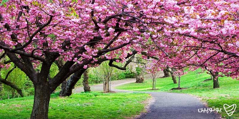 بهترین مقصدها برای سفر در بهار
