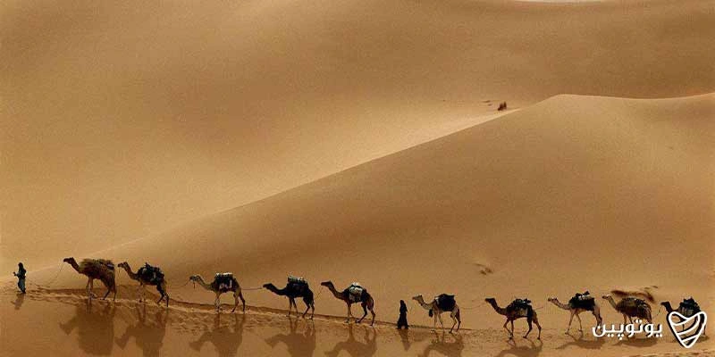 راهنمای کامل سفر به کویر مرنجاب
