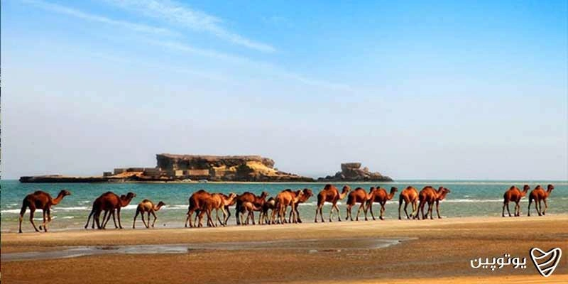 جاهای-دیدنی-قشم-