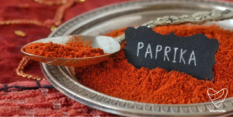 غذاهای اسپانیا