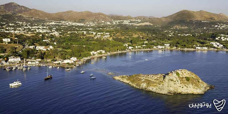 جزیره خرگوش