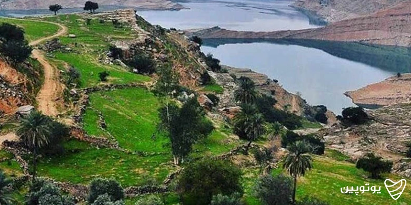صوفی احمد دزفول