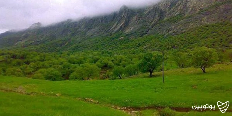 شهرستان چوار