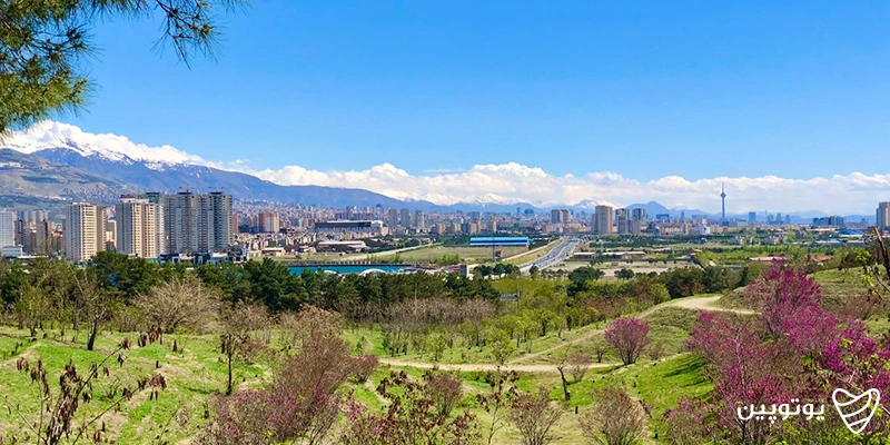پارک چیتگر
