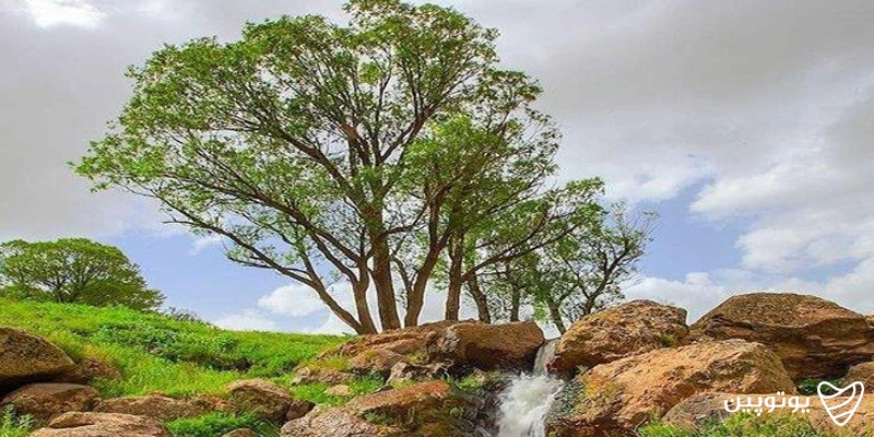 جاهای دیدنی سرعین: آبشار ورگه سران