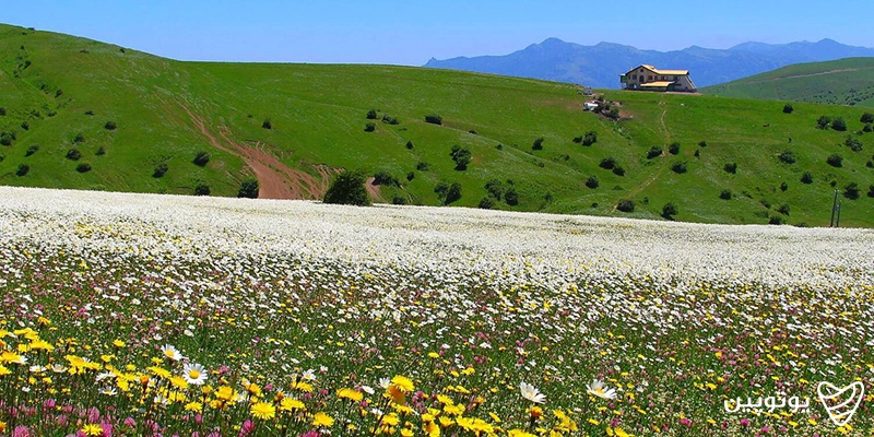 جاهای دیدنی اردبیل: جنگل‌های اردبیل