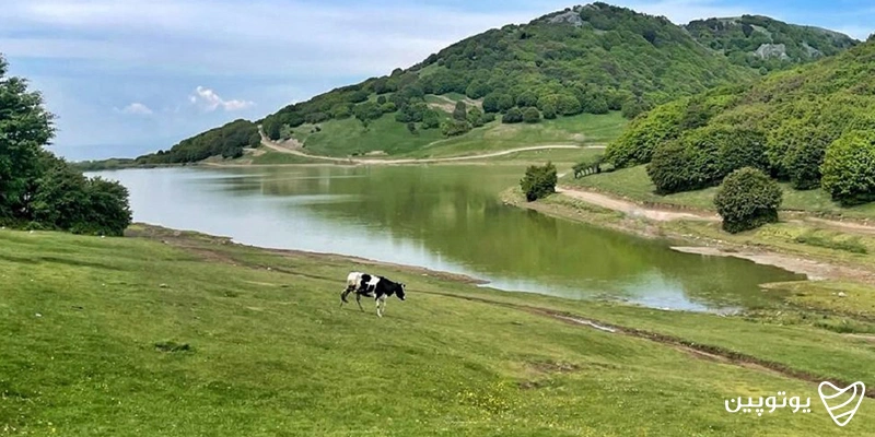 ییلاق سوها
