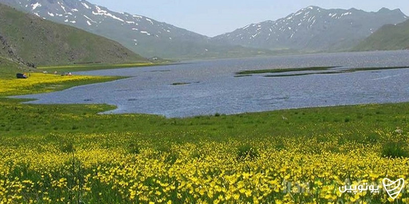 دریاچه نئور
