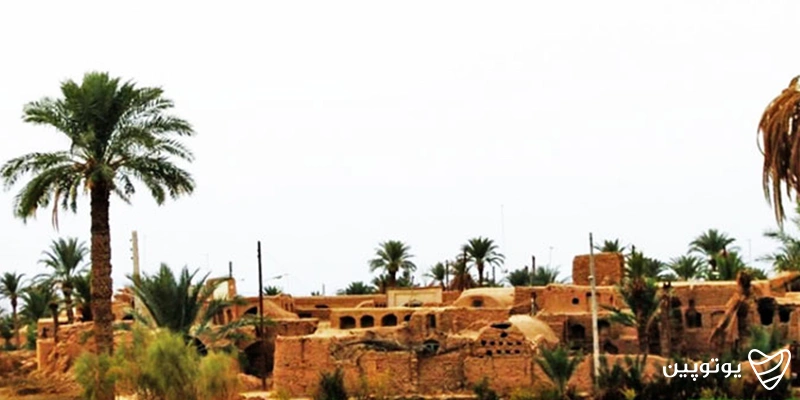 جاهای دیدنی کویر مصر: نخلستان سوخته