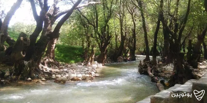پارک جنگلی پروز