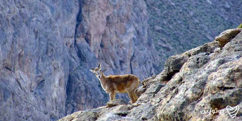 پارک ملی تنگ صیاد