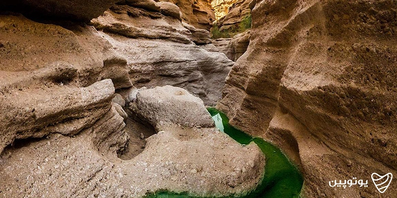 کال جنی