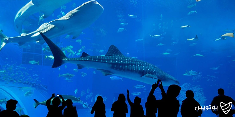 آکواریوم زیرآب در لنکاوی (Underwater World Langkawi)