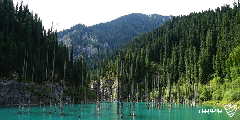 دریاچه کیندی