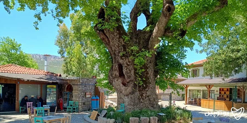 روستای بییر مارماریس ترکیه