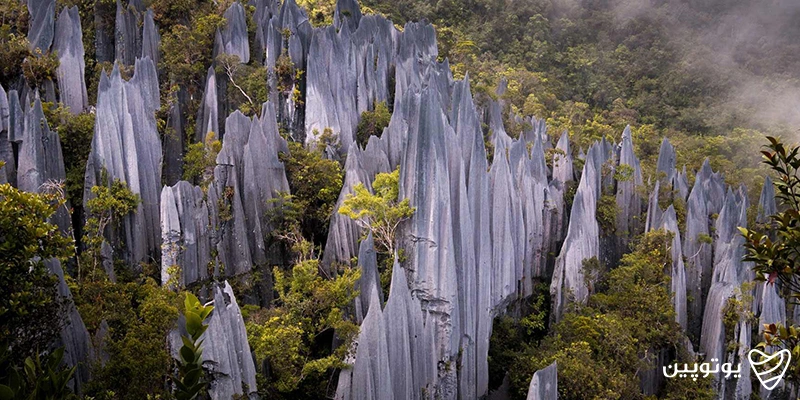 پارک ملی گونونگ مولو (Gunung Mulu National Park)