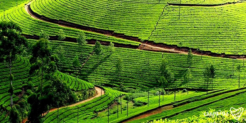 کرالا (Kerala)