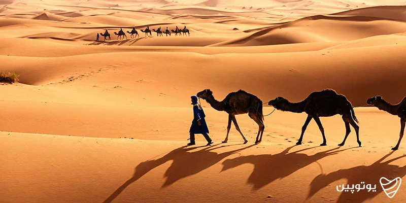 بیابان‌های ساهارا (Sahara)