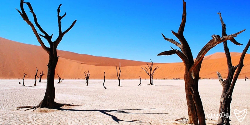 ددولی (Deadvlei)