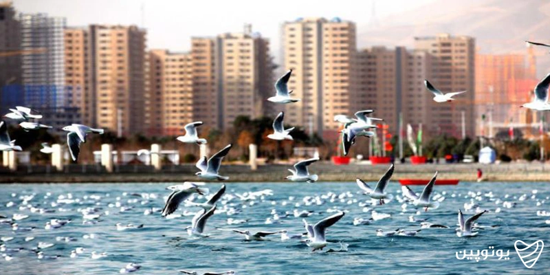 دریاچه چیتگر