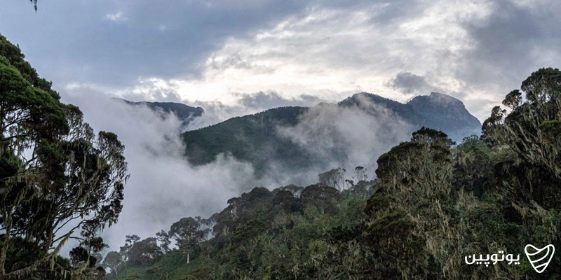 قله مارگریتا (Margarita Peak)