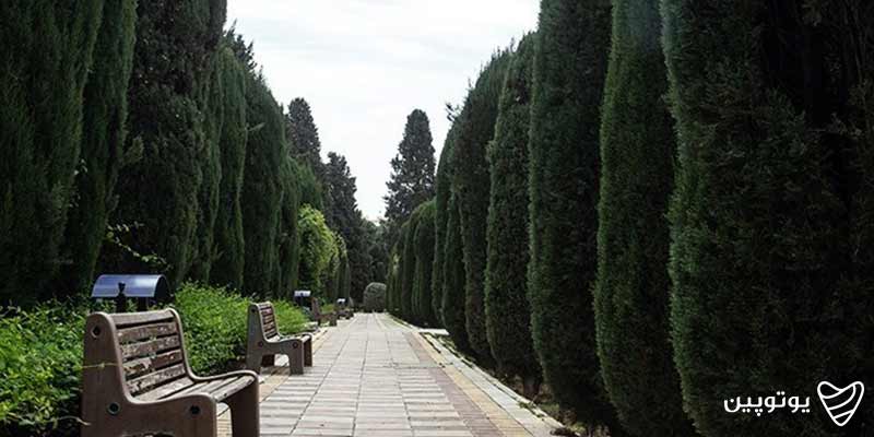 پارک ساعی
