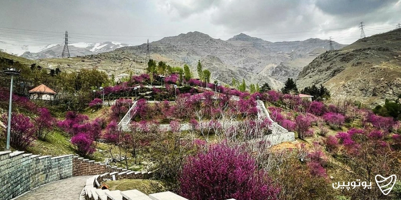 پارک گلابدره
