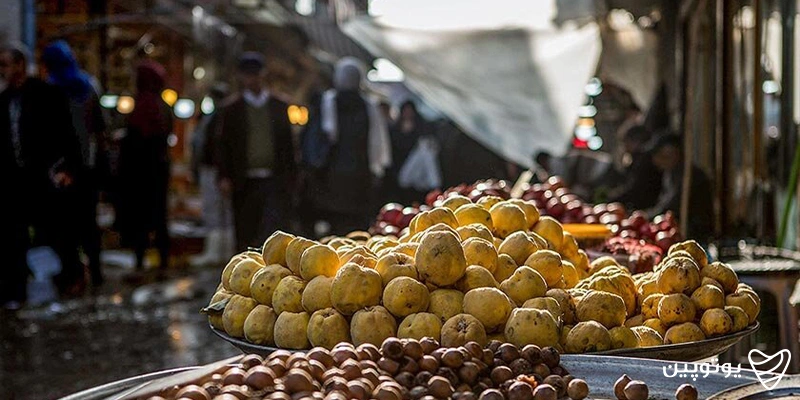 میوه در بازار رشت