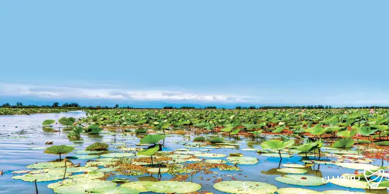 جاهای دیدنی گیلان تالاب انزلی