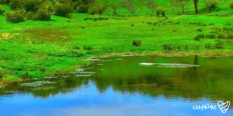 جاهای دیدنی گیلان چشمه طبیعی داماش