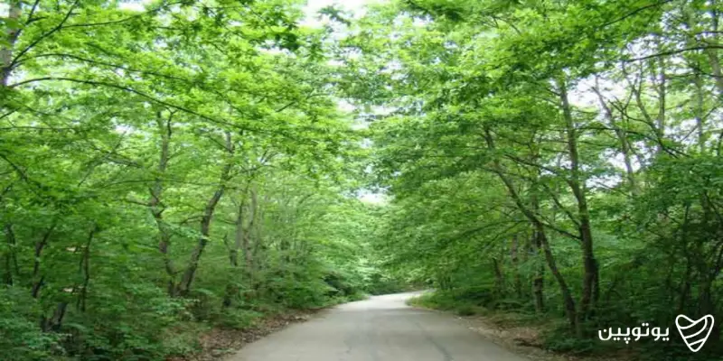 جاهای دیدنی گیلان جاده رشت به سراوان