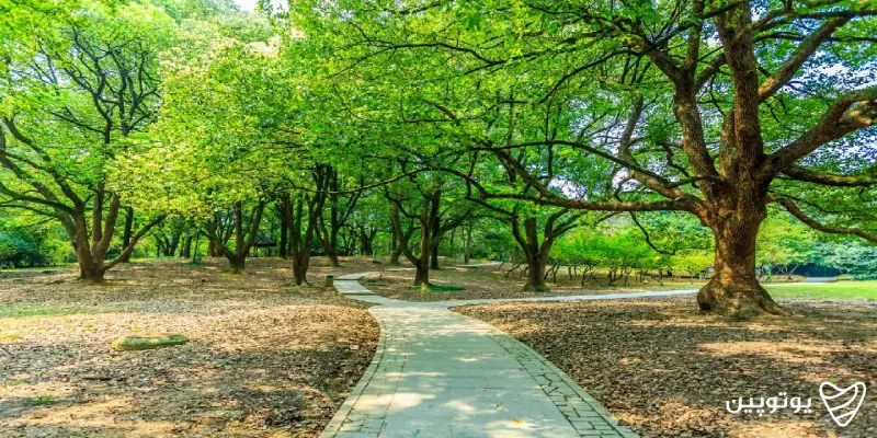جاهای تفریحی تهران پارک توسکا