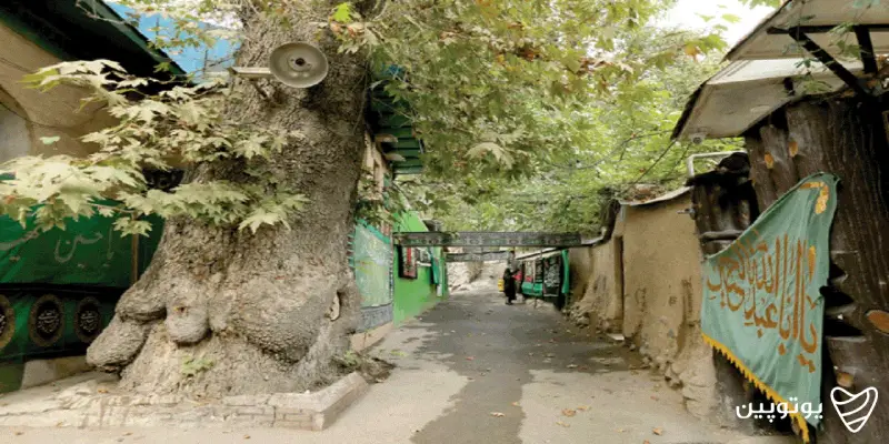 جاهای تفریحی تهران ارتفاعات کن