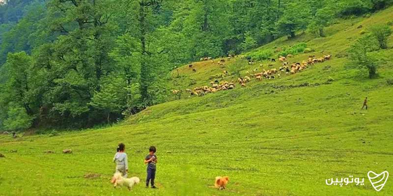 منطقه حفاظتشده خیبوس