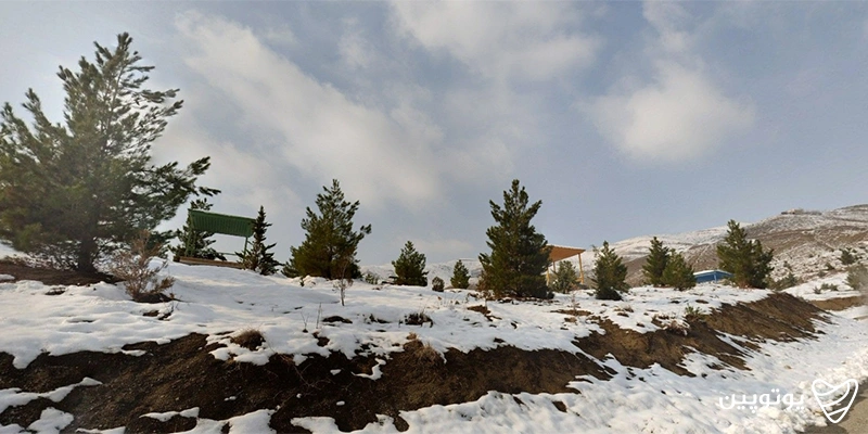 پارک جنگلی کوهسار