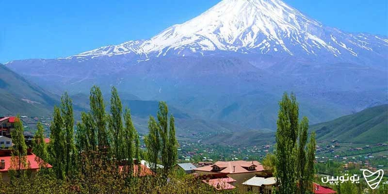رینه