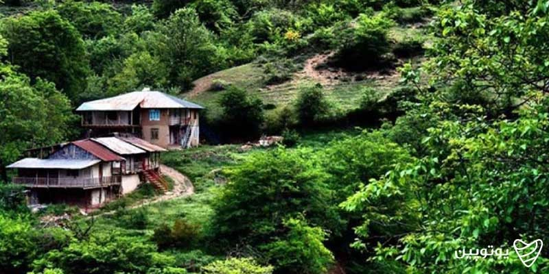 گنبد کاووس