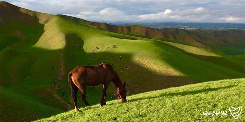 جاهای دیدنی گلستان