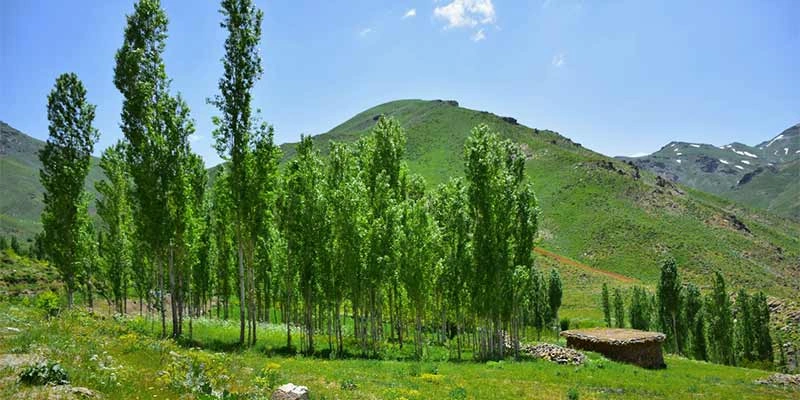 جاهای دیدنی بانه