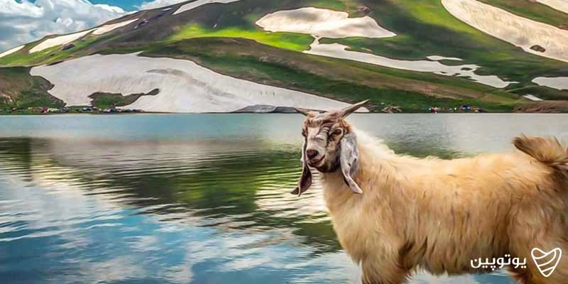 دریاچه-دالامپر