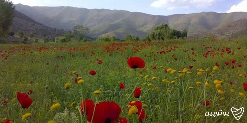 روستای نژو-جاهای دیدنی بانه