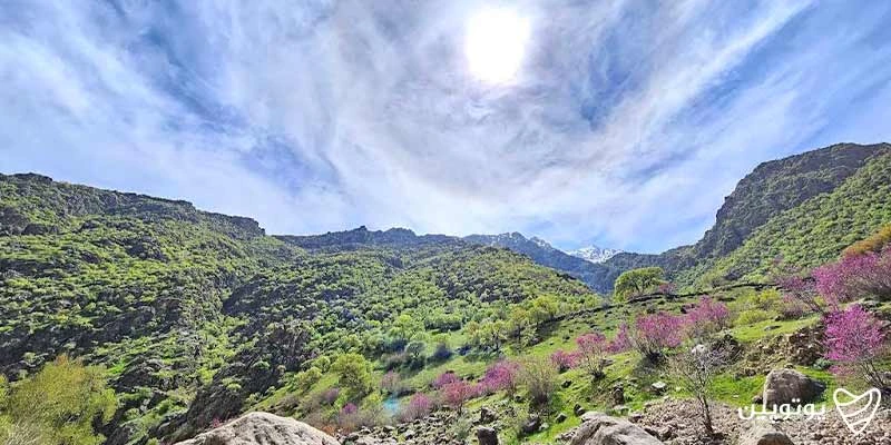 فرهنگ مردم روستای دیوزناو