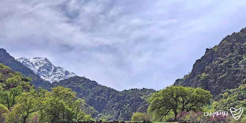 مسیریابی و نحوه دسترسی به روستای دیوزناو