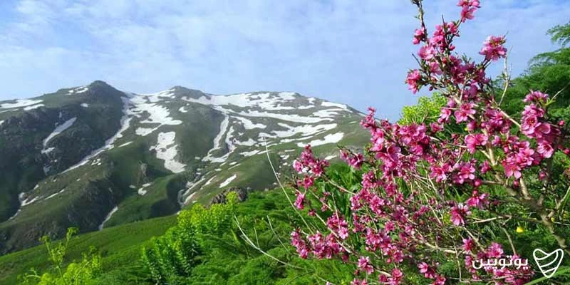 جاهای دیدنی کردستان