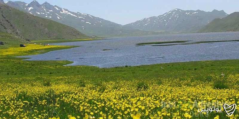 آسمان و ستارهها در دشت نئور