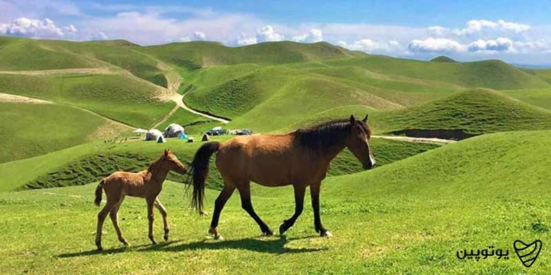 ترکمن صحرا؛ دشت بیکران ایران