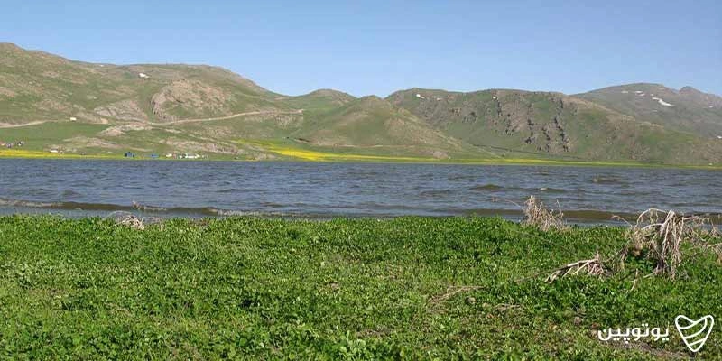 دریاچه نئور