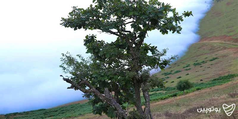 روستای اندبیل