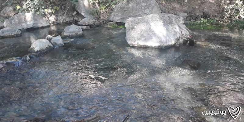 روستای ملوسان و دشت لالههای واژگون